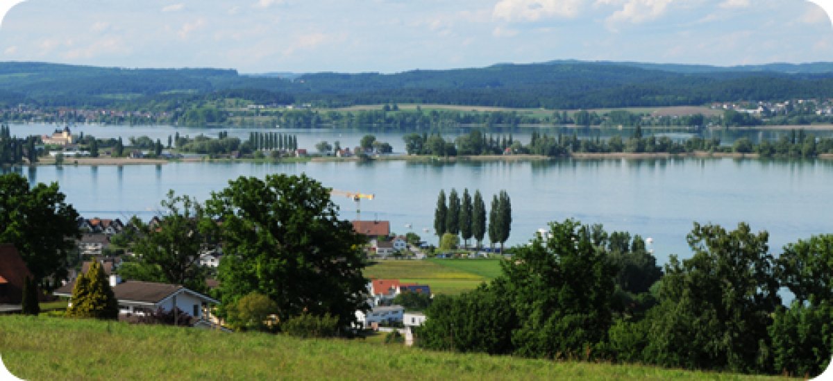 Zelglihof