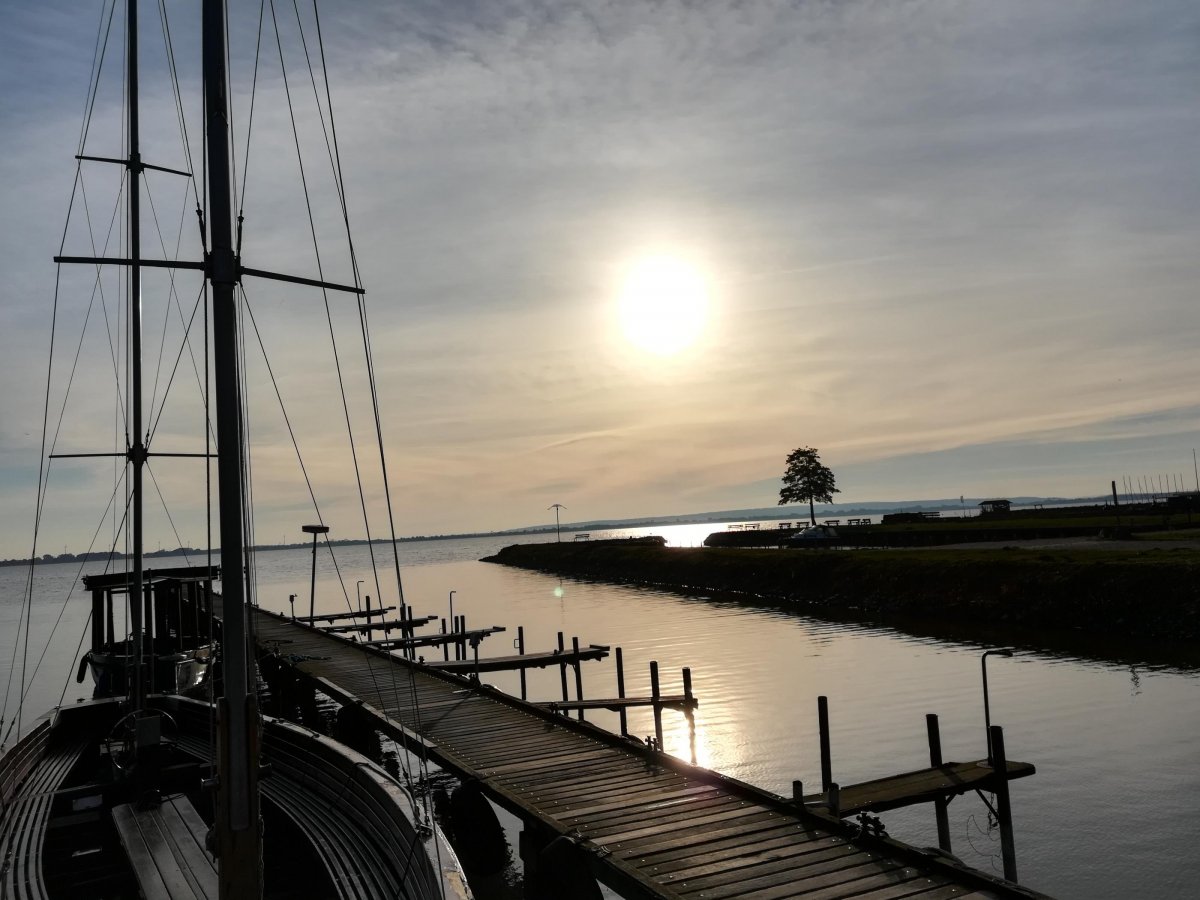 Stellplatz am DümmerSee Damme